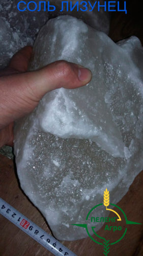 как выглядит каменная соль